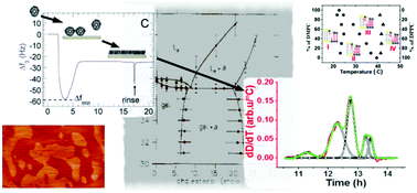 Graphical abstract: Analytical approaches to study domain formation in biomimetic membranes