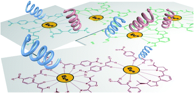 Graphical abstract: Evaluation of circularly polarized luminescence in a chiral lanthanide ensemble