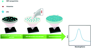 Graphical abstract: A facile molecularly imprinted polymer-based fluorometric assay for detection of histamine