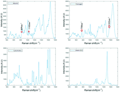 Graphical abstract: Raman spectroscopic analysis of high molecular weight proteins in solution – considerations for sample analysis and data pre-processing