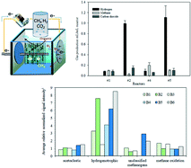 Graphical abstract: Hydrogen consumption and methanogenic community evolution in anodophilic biofilms in single chamber microbial electrolysis cells under different startup modes