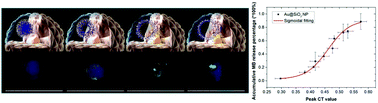 Graphical abstract: Noninvasive real-time monitoring of local drug release using nano-Au-absorbed self-decomposable SiO2 carriers