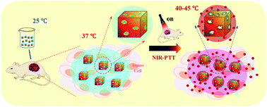 Graphical abstract: Precise synchronization of hyperthermia–chemotherapy: photothermally induced on-demand release from injectable hydrogels of gold nanocages