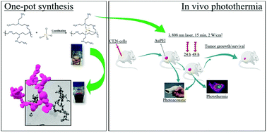 Graphical abstract: Polyethyleneimine-assisted one-pot synthesis of quasi-fractal plasmonic gold nanocomposites as a photothermal theranostic agent