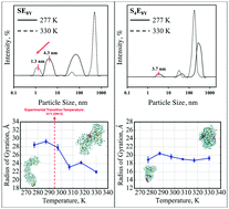 Graphical abstract: Unraveling the molecular mechanisms of thermo-responsive properties of silk-elastin-like proteins by integrating multiscale modeling and experiment