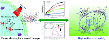 Graphical abstract: Fluorescence turn-off Ag/fluorinated graphene composites with high NIR absorption for effective killing of cancer cells and bacteria