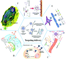 Graphical abstract: Peptide-based gene delivery vectors