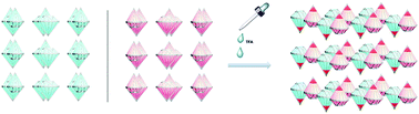 Graphical abstract: Adjustable chiral self-sorting and self-discriminating behaviour between diamond-like Tröger's base-linked cryptands