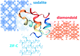 Graphical abstract: Phase dependent encapsulation and release profile of ZIF-based biocomposites