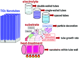 Graphical abstract: Less known facts and findings about TiO2 nanotubes