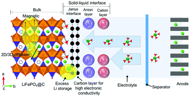 Graphical abstract: Structure and performance of the LiFePO4 cathode material: from the bulk to the surface