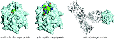 Graphical abstract: Cyclic peptide drugs approved in the last two decades (2001–2021)