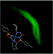 Graphical abstract: A gliclazide complex based on palladium towards Alzheimer's disease: promising protective activity against Aβ-induced toxicity in C. elegans