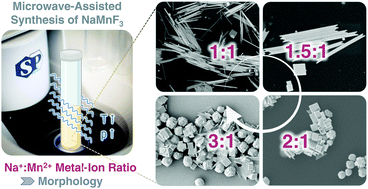 Graphical abstract: Microwave-assisted synthesis of NaMnF3 particles with tuneable morphologies