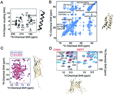 Graphical abstract: Towards a native environment: structure and function of membrane proteins in lipid bilayers by NMR