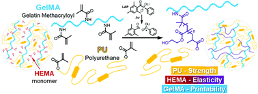 Graphical abstract: Polyurethane–gelatin methacryloyl hybrid ink for 3D printing of biocompatible and tough vascular networks