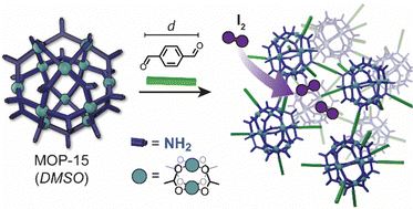 Graphical abstract: Polymer networks of imine-crosslinked metal–organic cages: tuneable viscoelasticity and iodine adsorption