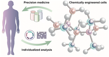 Graphical abstract: Chemically engineering cells for precision medicine