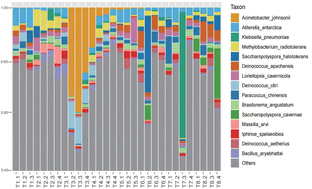 Graphical abstract: Associations between environmental characteristics, high-resolution indoor microbiome, metabolome and allergic and non-allergic rhinitis symptoms for junior high school students