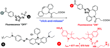 Graphical abstract: Fluorogenic sydnonimine probes for orthogonal labeling