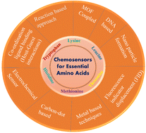 Graphical abstract: A fast survey on recent developments in designing colorimetric and fluorescent sensors for the selective detection of essential amino acids
