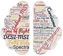 Graphical abstract: Desorption electrospray ionization mass spectrometry imaging (DESI-MSI) in disease diagnosis: an overview