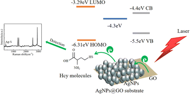 Graphical abstract: A dense SERS substrate of the AgNPs@GO compound film for detecting homocysteine molecules
