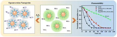 Graphical abstract: The effect of triethylamine on dye-sensitized upconversion luminescence and its application in nanoprobes and photostability