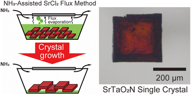 Graphical abstract: Growth of submillimeter SrTaO2N single crystals by an NH3-assisted SrCl2 flux method