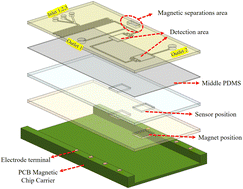 Graphical abstract: An integrated magnetoimpedance biosensor microfluidic magnetic platform for the evaluation of the cardiac marker cTnI
