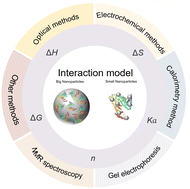 Graphical abstract: Thermodynamics and models for small nanoparticles upon protein adsorption