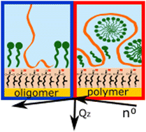 Graphical abstract: Adsorption hierarchy of surfactants and polymers to a damaged hair model: effect of composition, order and polymer size