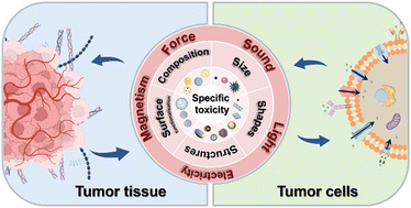 Graphical abstract: Biomaterials with cancer cell-specific cytotoxicity: challenges and perspectives