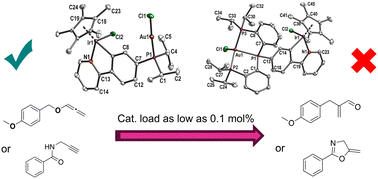 Graphical abstract: Synthesis and catalytic activity of heterobimetallic Au/M (M = RhIII, IrIII) complexes with ditopic mono- and triphosphane ligands