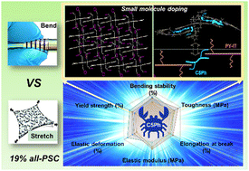 Graphical abstract: All-polymer solar cells with 19% efficiency via introducing pincer-shaped non-covalent bond interactions