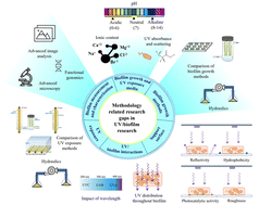 Graphical abstract: Control of biofilms with UV light: a critical review of methodologies, research gaps, and future directions