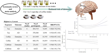 Graphical abstract: Tea, coffee, and caffeine intake and risk of dementia and Alzheimer's disease: a systematic review and meta-analysis of cohort studies