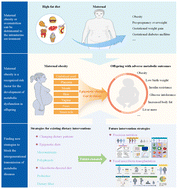 Graphical abstract: Maternal obesity and offspring metabolism: revisiting dietary interventions