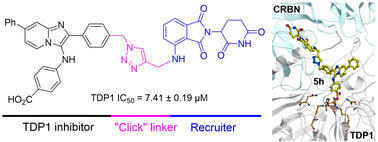 Graphical abstract: Application of a bivalent “click” approach to target tyrosyl-DNA phosphodiesterase 1 (TDP1)