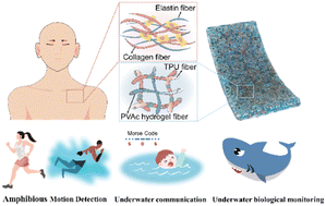 Graphical abstract: Strong and anti-swelling nanofibrous hydrogel composites inspired by biological tissue for amphibious motion sensors