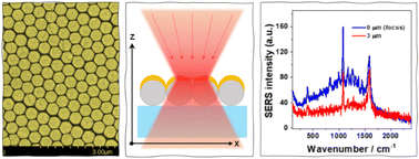 Graphical abstract: The role of focused laser plasmonics in shaping SERS spectra of molecules on nanostructured surfaces