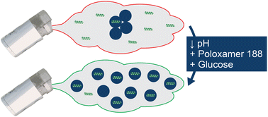 Graphical abstract: RNA lipid nanoparticles stabilized during nebulization through excipient selection