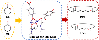 Graphical abstract: Metal–organic frameworks of p-hydroxybenzoic acid: synthesis, structure and ring opening polymerization capability