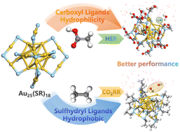 Graphical abstract: Ligand-induced changes in the electrocatalytic activity of atomically precise Au25 nanoclusters