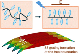 Graphical abstract: Optical deformations of azobenzene polymers: orientation approach vs. other concepts