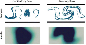 Graphical abstract: Solute dispersion in pre-turbulent confined active nematics