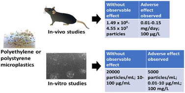 Graphical abstract: A review of the toxic effects of microplastics based on studies on mammals and mammalian cell lines