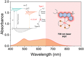 Graphical abstract: Near-infrared-activated Ru(ii)-nile blue conjugates as type-I photosensitizers for efficient hypoxia tumor therapy