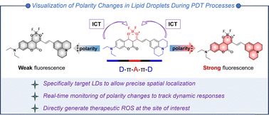 Graphical abstract: Tracking lipid droplet polarity changes during PDT process with an integrated imaging and therapy probe