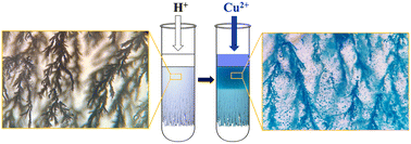 Graphical abstract: Fractal MOF architectures: reaction–diffusion-mediated transmutation of crystalline scaffolds